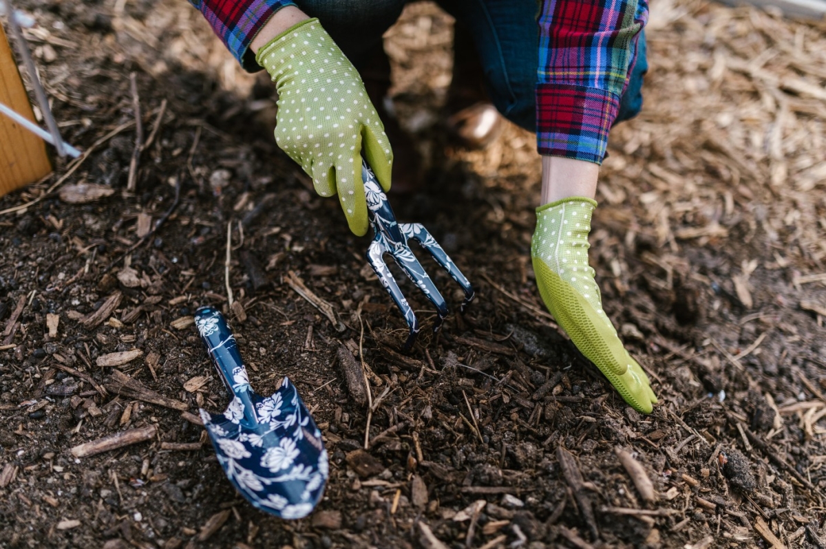 First spring gardening tasks - how to prepare your garden for the new season?