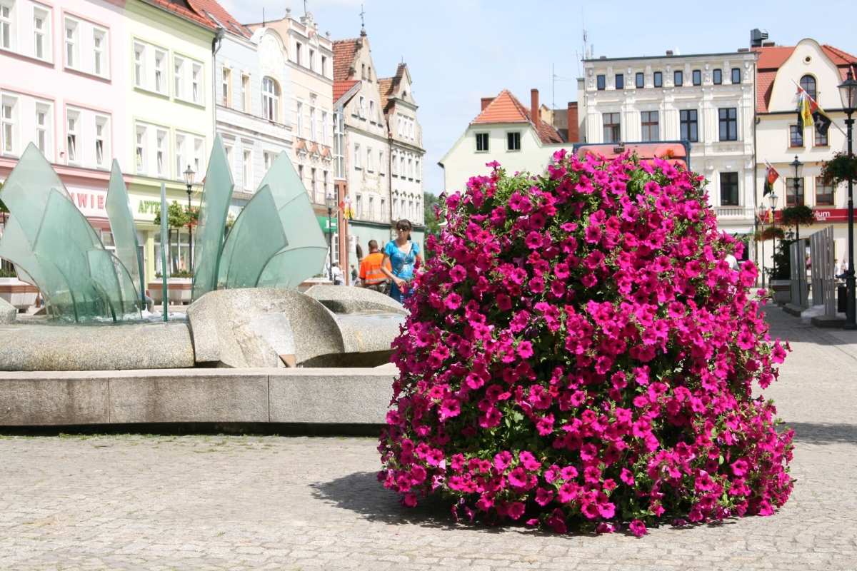 Cascade plant stands