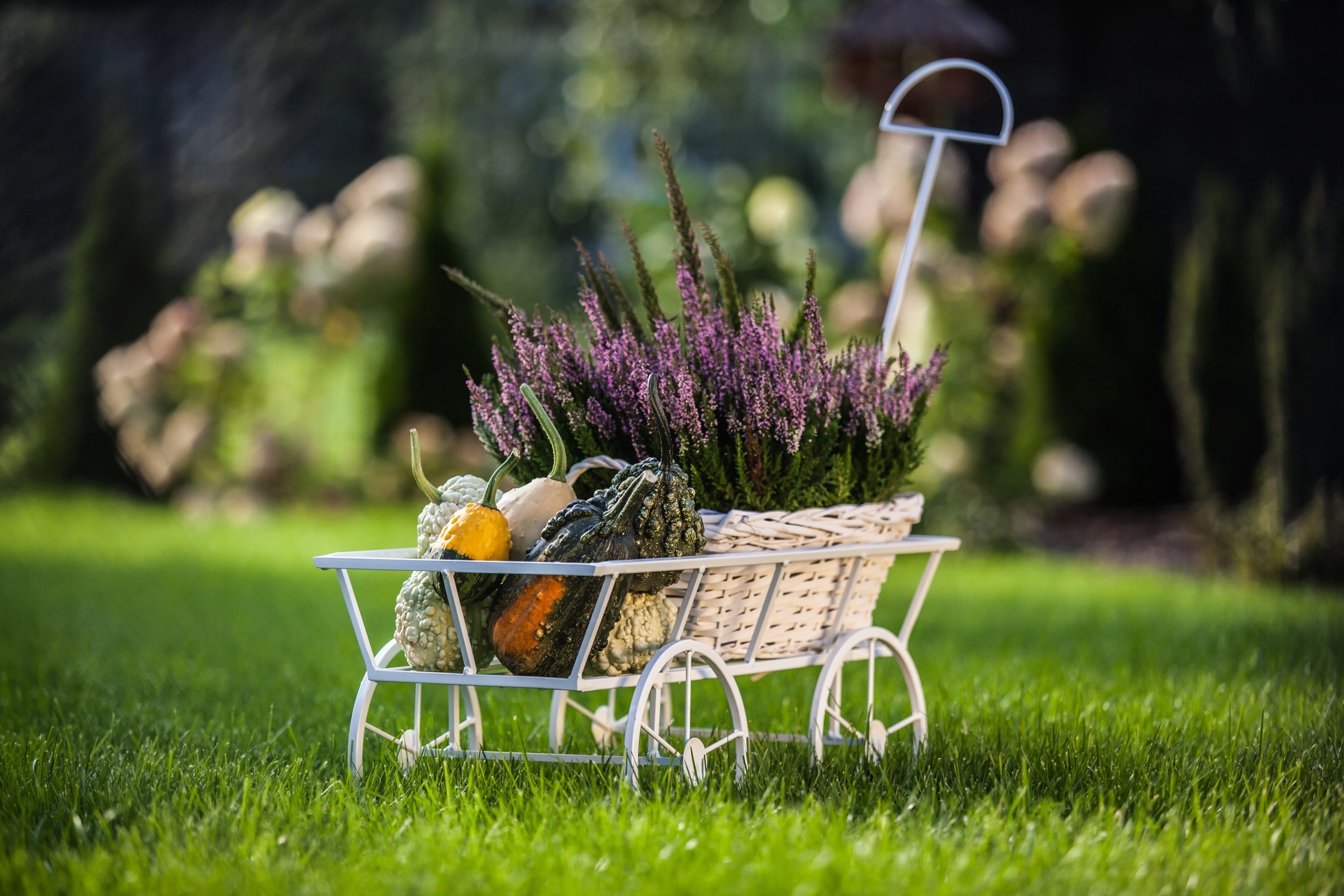 Decorative metal garden flowerbed Trolley