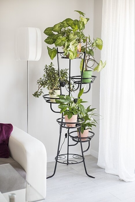 Flower stand 5