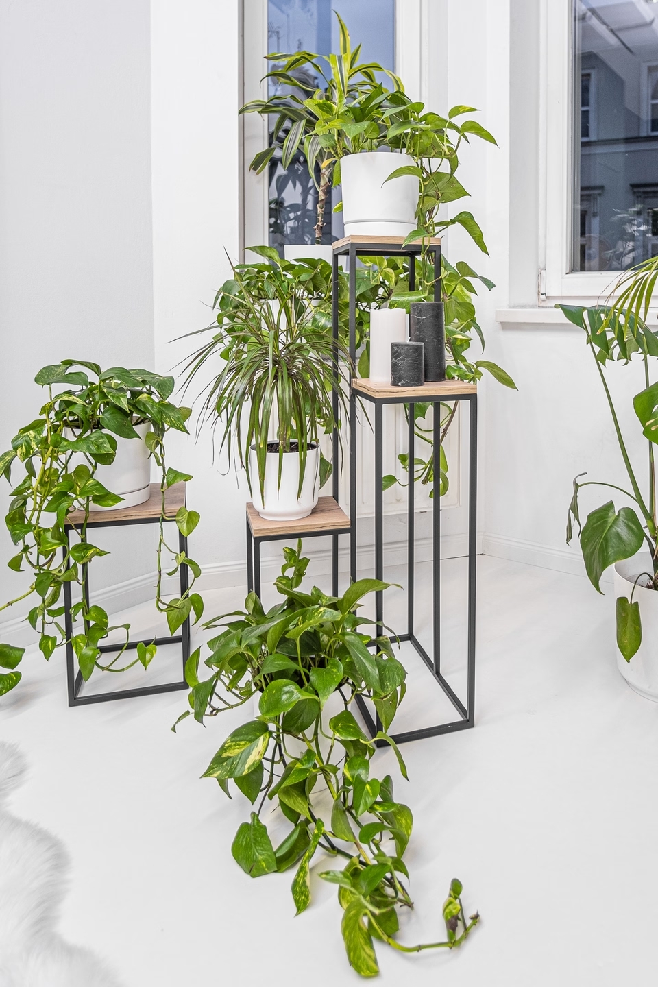 Plant stand with Oak Craft shelf 40 - interior arrangement