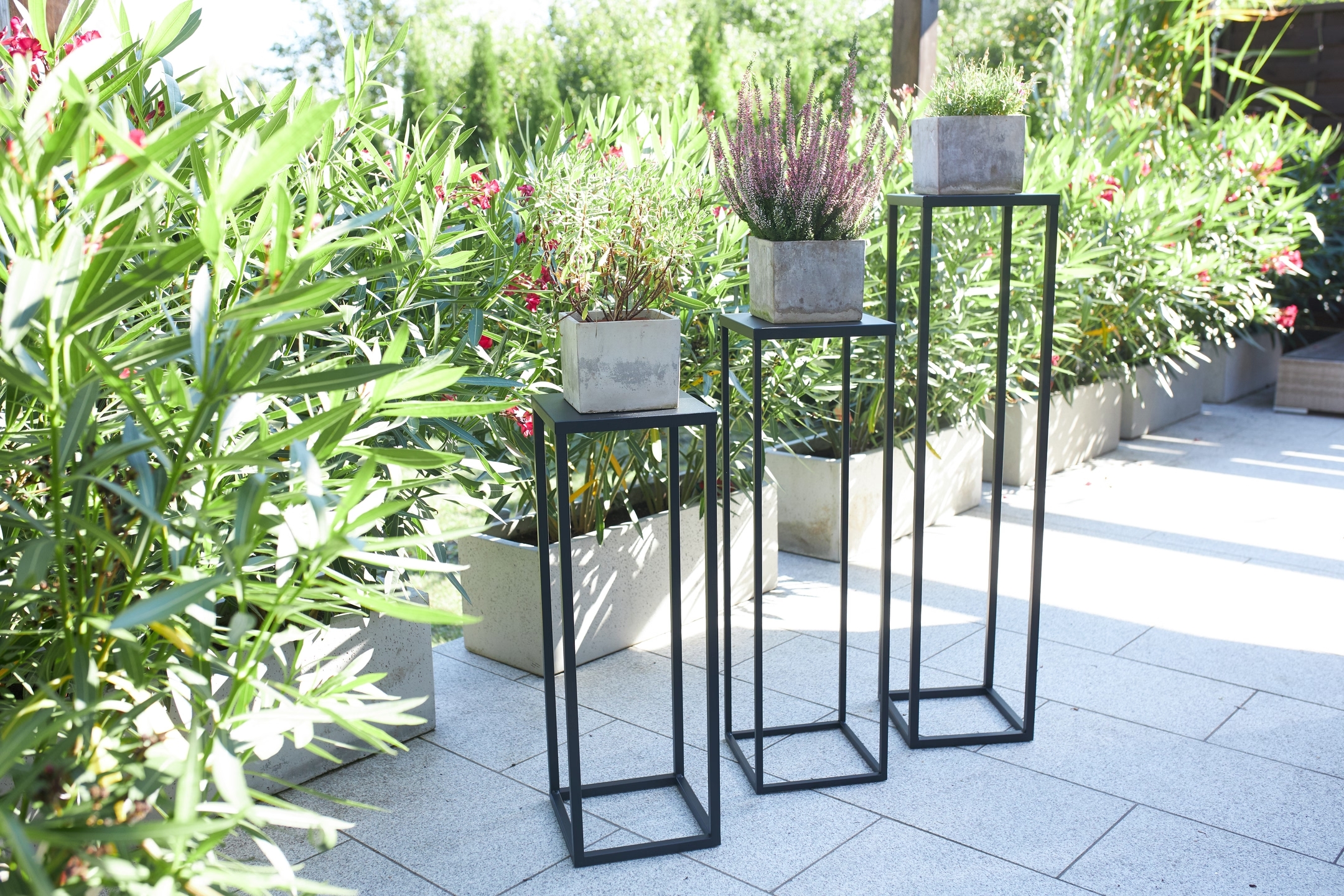 Multi-purpose stand with shelf 80 - interior arrangement