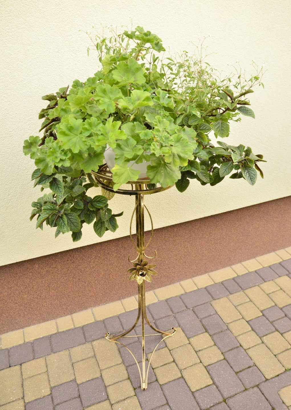 Single flowerbed. Metal plant stand