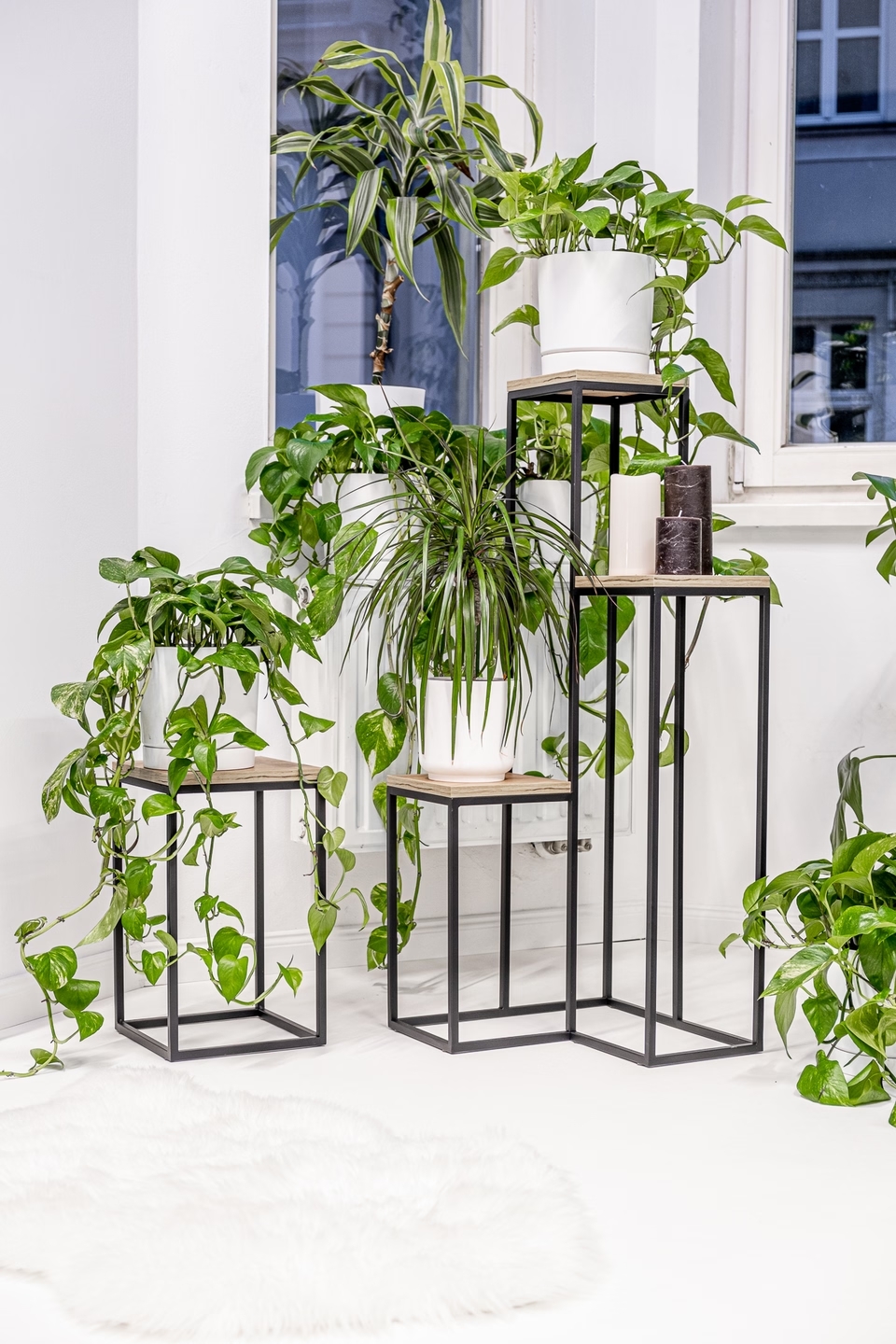 Elle Legna plant stand - interior arrangement