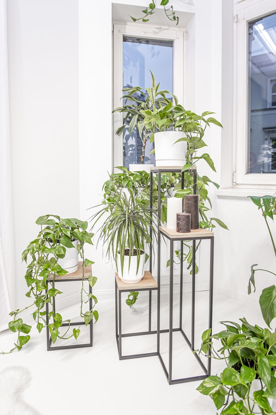 Elle Legna plant stand - interior arrangement