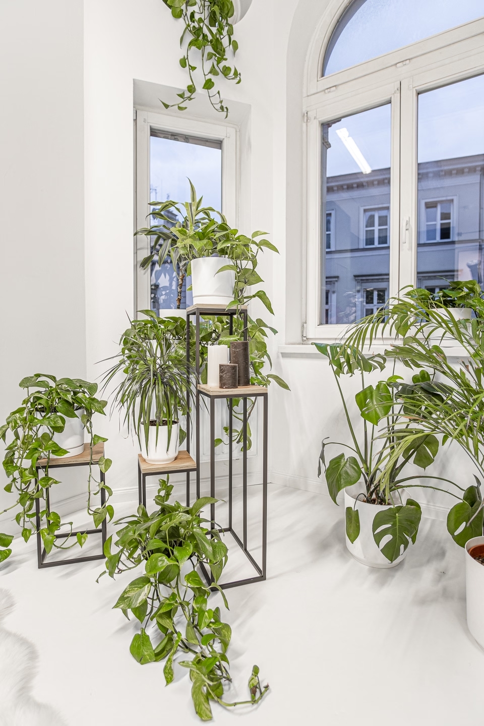 Elle Legna plant stand - interior arrangement
