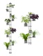 Telescopic flowerbed for 11 plants