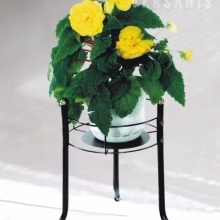 Single metal flowerbed