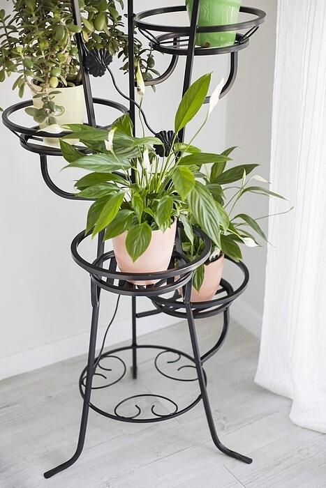 7 pot tall Model:68