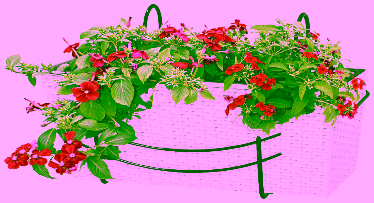 Balcony box basket - 40 cm.