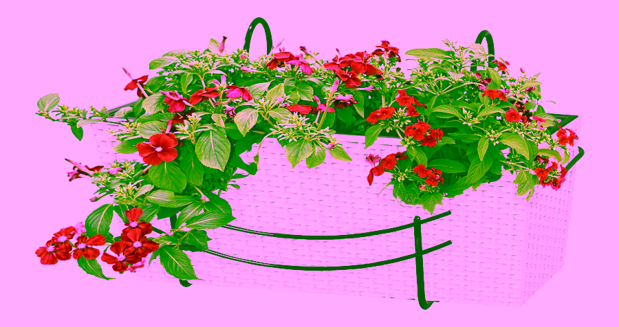 Balcony box basket - 40 cm.