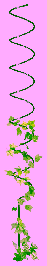 Climbing plant support - 100 cm