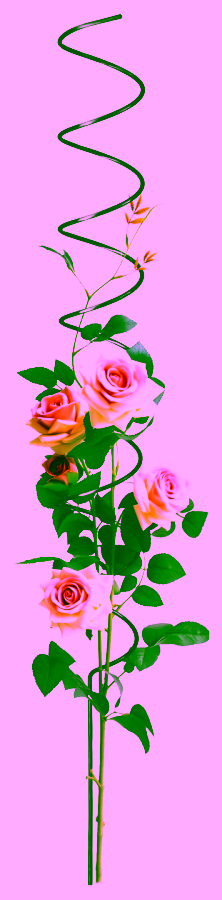 Climbing plant support Model:365