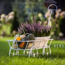 Decorative metal garden Model:46