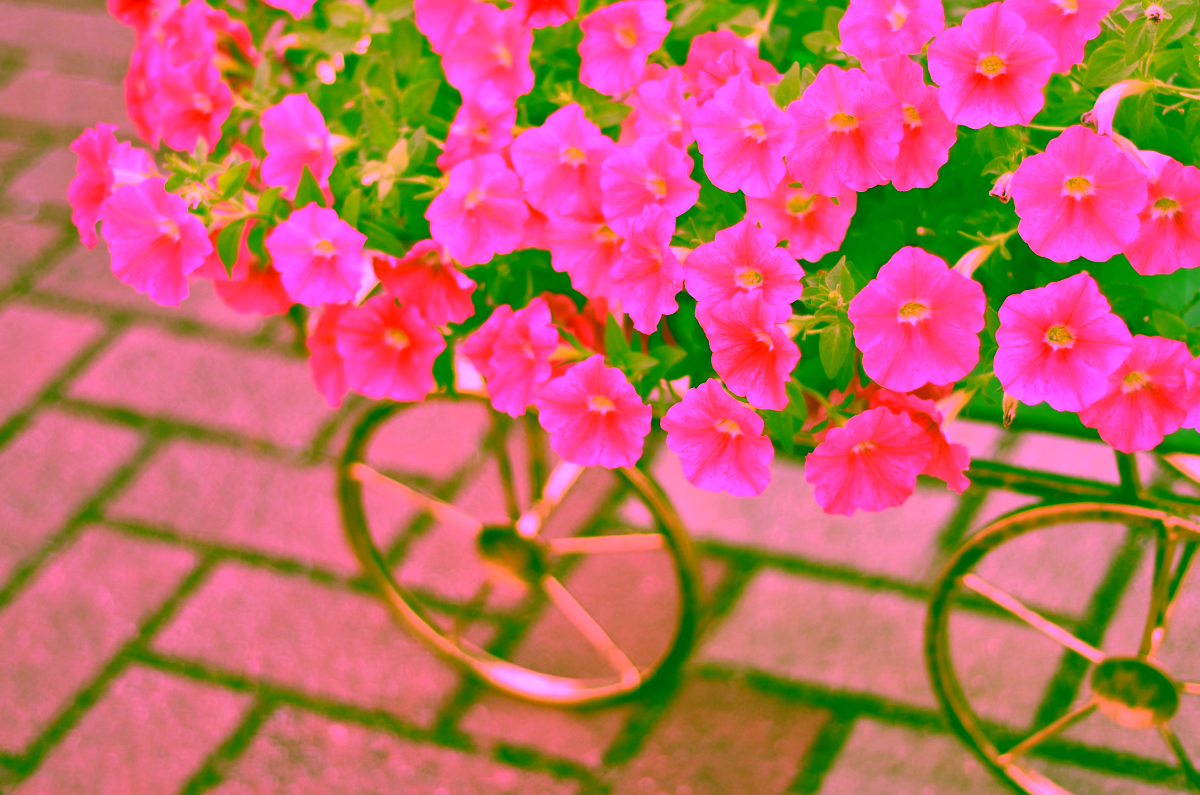 Decorative metal garden Model:46