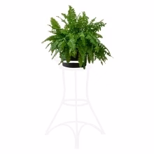 Decorative single florist Model:214A