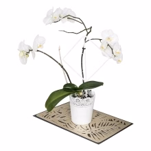 Flower and shrub Model:554