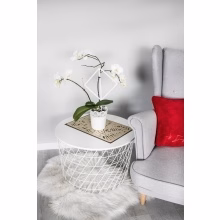 Flower and shrub Model:554