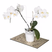 Flower and shrub Model:547