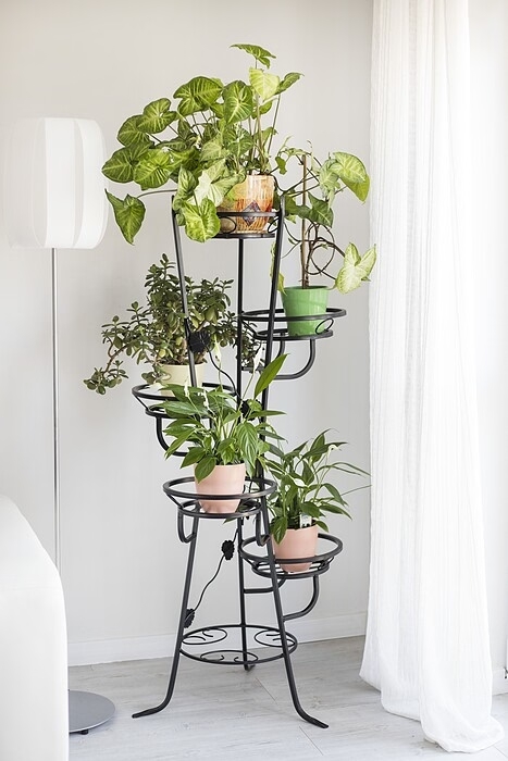 Flower stand 5 Model:67