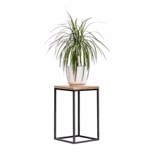 Flower stand. Single Model:648