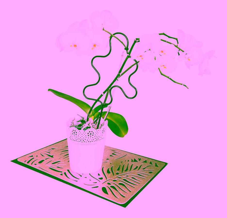 Flower support. Metal plant support KLEKS