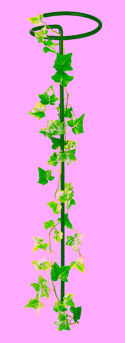 Stake - support for plants on the trunk - 70 cm.