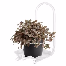 Flowerbed for one Model:120