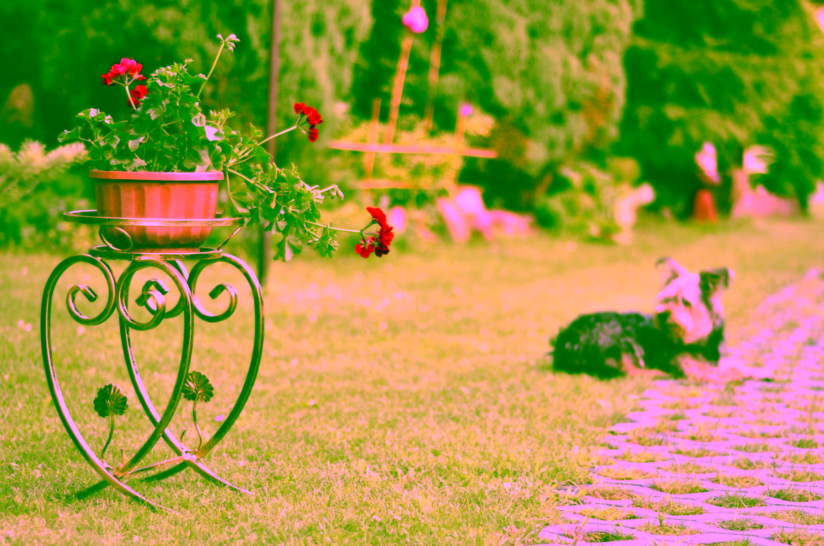 Flowerbed Heart 1 Model:160