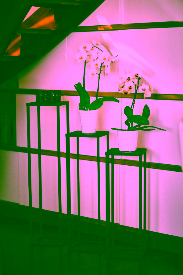 Multi-purpose stand with shelf 80 - interior arrangement