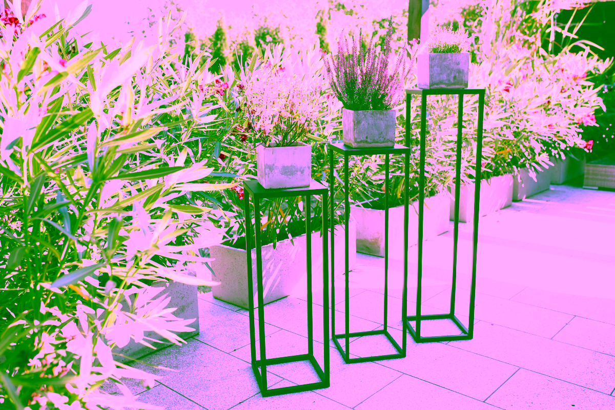 Multi-purpose stand with shelf 80 - interior arrangement