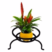 Flowerbed Spider Low Model:219