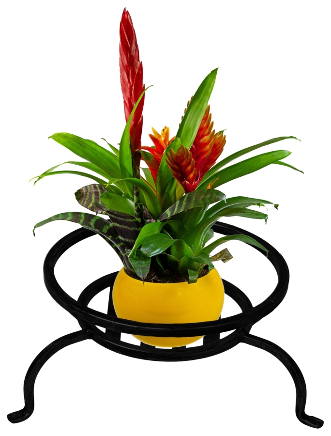 Flowerbed Spider Low Model:219