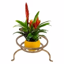 Flowerbed Spider Low Model:219