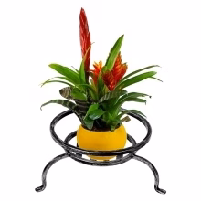Flowerbed Spider Low Model:219
