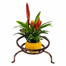 Flowerbed Spider Low Model:219