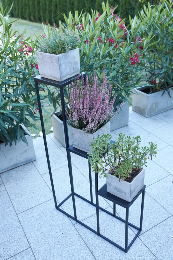Simple step plant stand - interior arrangement