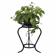 Juka medium room Model:127