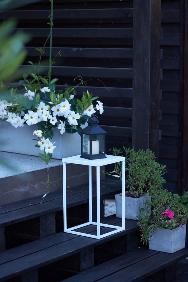 Plant stand with shelf 40 - interior arrangement