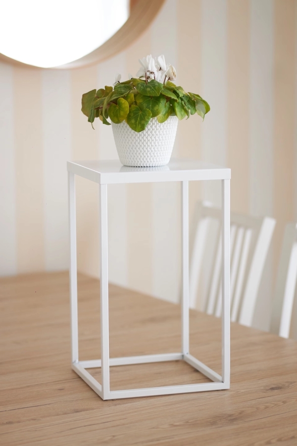 Plant stand with shelf 40 - interior arrangement