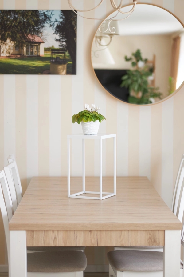 Plant stand with shelf 40 - interior arrangement