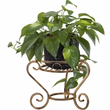 Low metal flowerbed Model:128