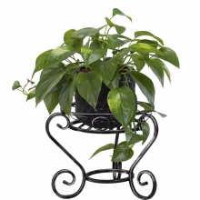 Low metal flowerbed Model:128