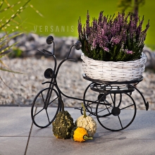 Metal bicycle flowerbed Model:134