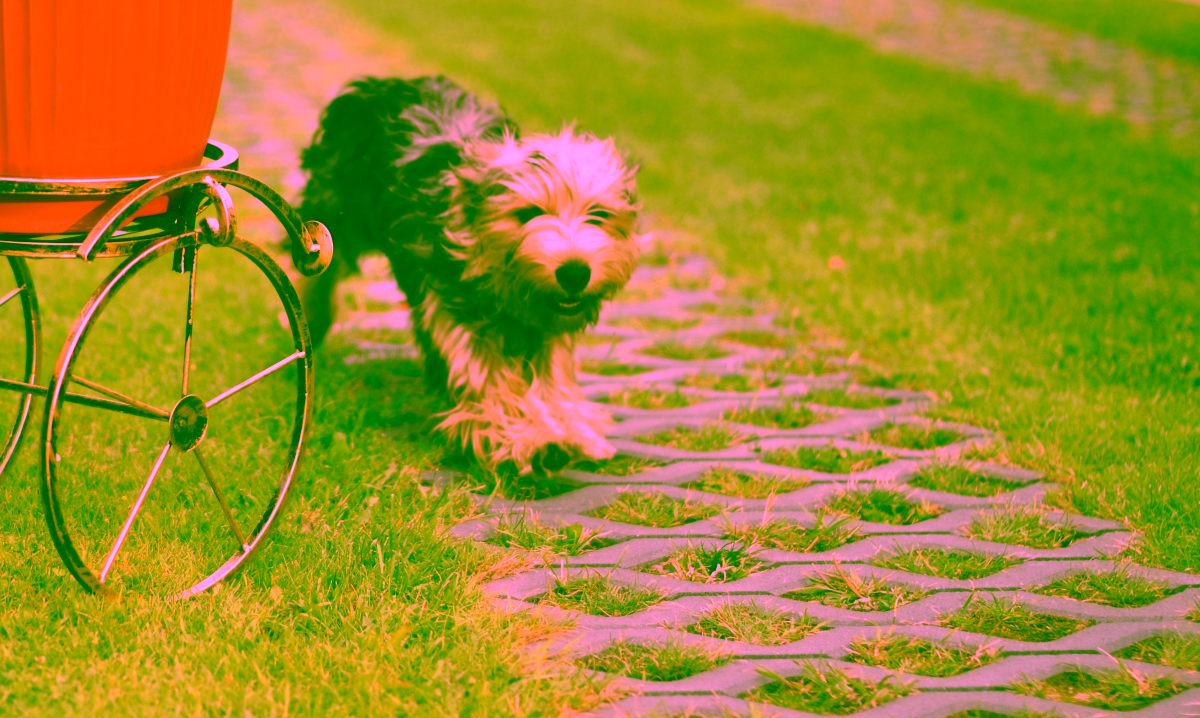 Metal bicycle flowerbed Model:134