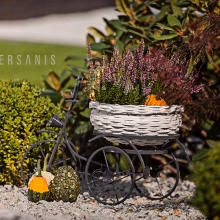 Metal bicycle flowerbed Model:134