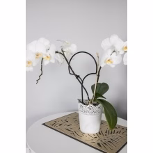 Metal flower support Model:548