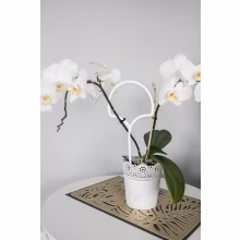 Metal flower support Model:548