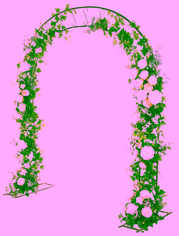 Metal garden gate/ wedding arch