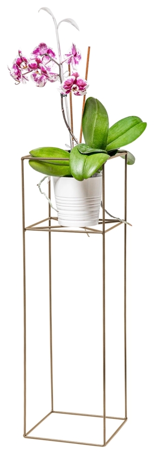 Wire stand single 80